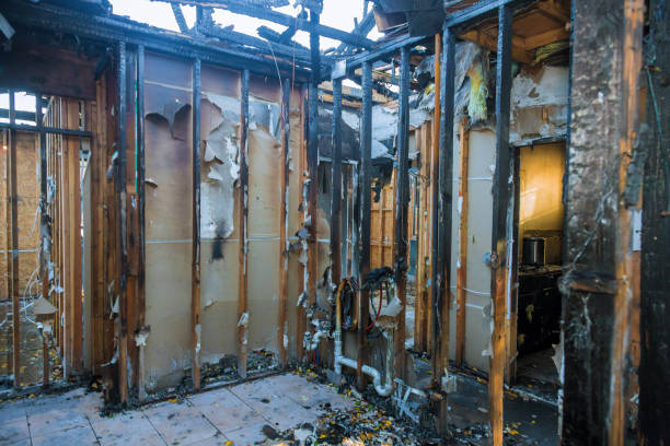 Professional Fire Damage Assessment technician working in Royal Oak, MI